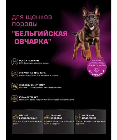 QUATTRO Belgian shepherd (raspberry) beef 12 kg food for puppies - Buy Online on GoSupps.com