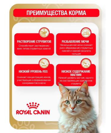 ROYAL CANIN Dry Form Urinary S O for cats at MKB 1.5 kg - Buy Online on GoSupps.com