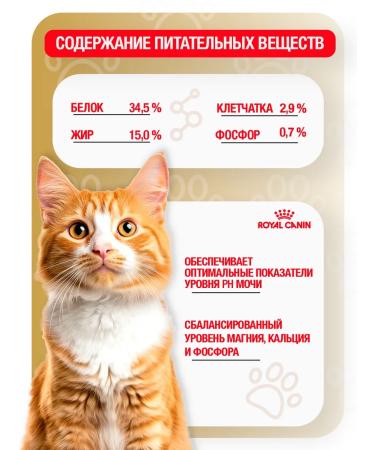 ROYAL CANIN Dry Form Urinary S O for cats at MKB 1.5 kg - Buy Online on GoSupps.com