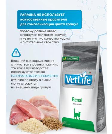 Farmina Vet Life Renal for cats with renal failure 2kg - Buy Online on GoSupps.com