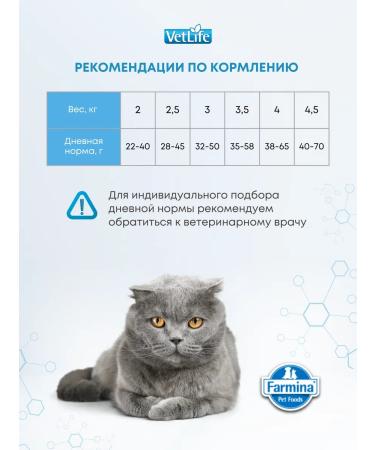 Farmina Vet Life Renal for cats with renal failure 2kg - Buy Online on GoSupps.com