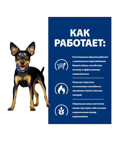 HILL'S Hills Metabolic Mini Form for Dogs with Obrab 6 kg - Buy Online on GoSupps.com