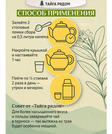 The taiga is nearby Altai herbal tea "Immunity" with chaga - Buy Online on GoSupps.com
