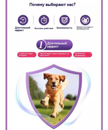 Braceto for dogs from 2 to 4 5 kg from fleas and ticks 112 5 mg - Buy Online on GoSupps.com