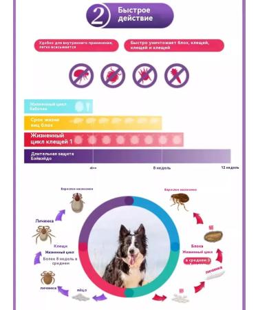 Braceto for dogs from 2 to 4 5 kg from fleas and ticks 112 5 mg - Buy Online on GoSupps.com