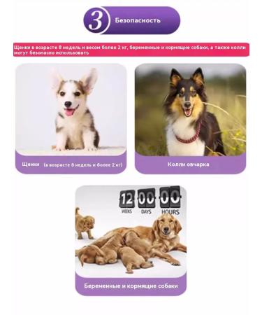 Braceto for dogs from 2 to 4 5 kg from fleas and ticks 112 5 mg - Buy Online on GoSupps.com