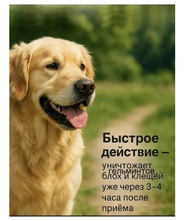 Zoetis Simeparika from ticks fleas and helminths 10-20 kg - Buy Online on GoSupps.com