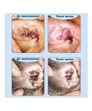 Ear Drops for Dogs 60ML - Buy Online on GoSupps.com