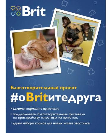 Brit Dry food for sterilized cats salmon 2 kg x 2 pcs - Buy Online on GoSupps.com