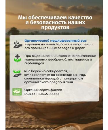 Marusya in Love Incorrect organic rice 500 gr * 3 pcs 1.5 kg - Buy Online on GoSupps.com