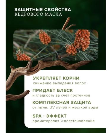 ALTAY HERBS Shampoo for all types of hair restoring - Buy Online on GoSupps.com