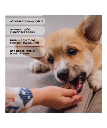 Bioration Light beef for dogs 100 g - Buy Online on GoSupps.com