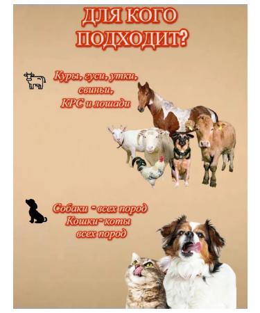 PurtNik Meat-bone flour vitamin-forage supplement 2 kg - Buy Online on GoSupps.com