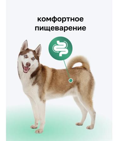 Organix Canned food for dogs with beef and giblets 12 pcs for 750g - Buy Online on GoSupps.com