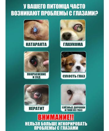 Eye drops from conjunctivitis for cats 20 ml - Buy Online on GoSupps.com