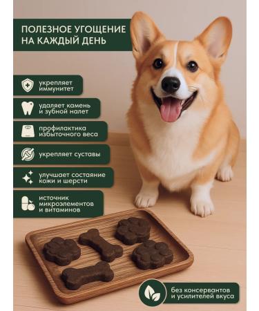 Prime Paws Black lion's dog treats for salmon taste 100g - Buy Online on GoSupps.com