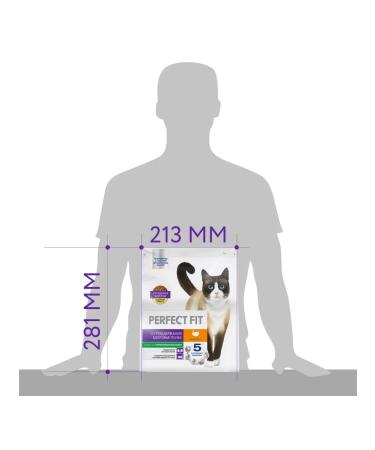 PERFECT FIT Adult cat food for kidneys with a turkey 1.2 kg - Buy Online on GoSupps.com