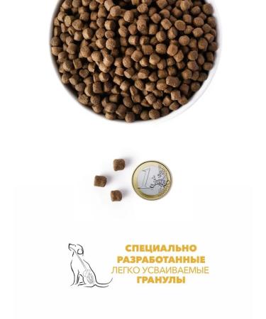 Ambrosia Dry food for dogs sardine and tuna 5 kg - Buy Online on GoSupps.com