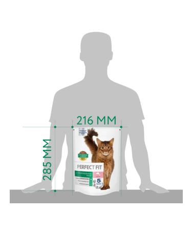 PERFECT FIT Feed for sterilized cats with salmon 650 g - Buy Online on GoSupps.com