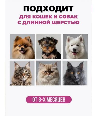 Air conditioning against molting for cats and dogs - Buy Online on GoSupps.com