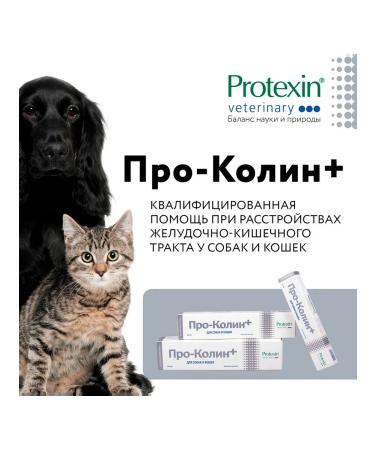 Protein Pro-Kolin Prokolin Probiotic additive for dogs and cats 15 ml - Buy Online on GoSupps.com