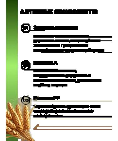 Belita Hand and nail cream vitamin with a dispenser - Buy Online on GoSupps.com