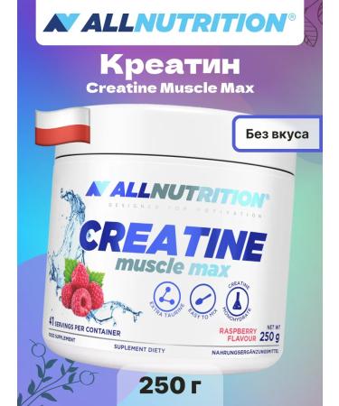 ALLNutrition Creatine Monohydrate Creatine Muscle Max with Taurin 250 g