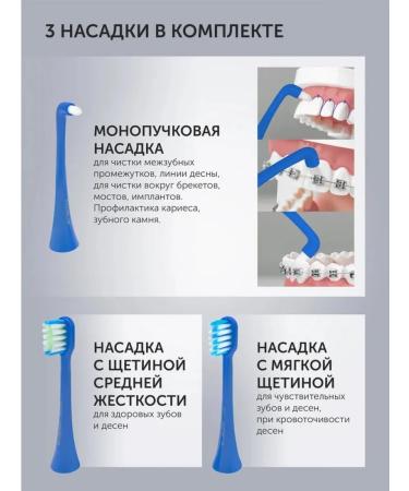 Polaris Modern electrical equipment for teeth to - Buy Online on GoSupps.com