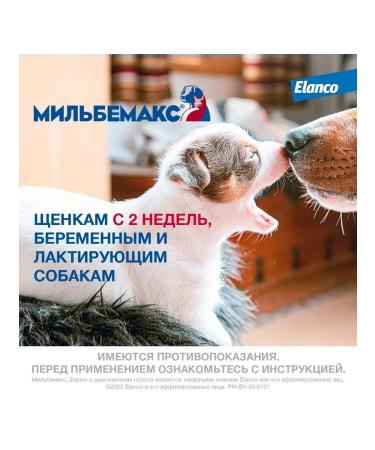 Elanco Milbemax tablets against helminths for large dogs 2Tab - Buy Online on GoSupps.com