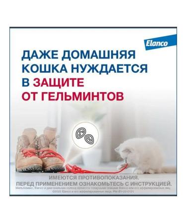 Elanco Milbemax tablets from worms for kittens - Buy Online on GoSupps.com