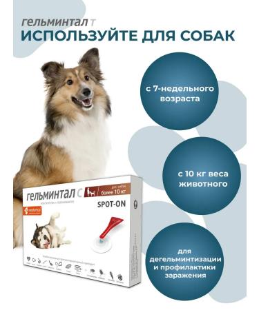 Gelmintal Drops on the withers for dogs more than 10 kg 2 peep 2.5ml - Buy Online on GoSupps.com