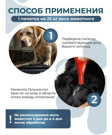 Gelmintal Drops on the withers for dogs more than 10 kg 2 peep 2.5ml - Buy Online on GoSupps.com