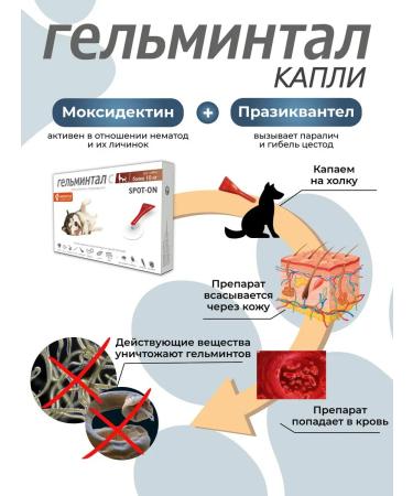 Gelmintal Drops on the withers for dogs more than 10 kg 2 peep 2.5ml - Buy Online on GoSupps.com