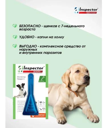Neoterica Inspector Quadro from dog drops 4-10 kg (1 pipette) - Buy Online on GoSupps.com
