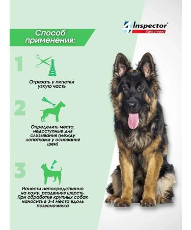 Neoterica Inspector Quadro from dog drops 4-10 kg (1 pipette) - Buy Online on GoSupps.com
