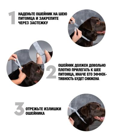 Rolf Club 3D Rolf collar from ticks and fleas for medium dogs 65 cm - Buy Online on GoSupps.com