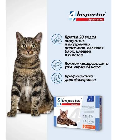 Neoterica Inspector Quadro to a drop for 1-4 kg (3 pipettes) - Buy Online on GoSupps.com