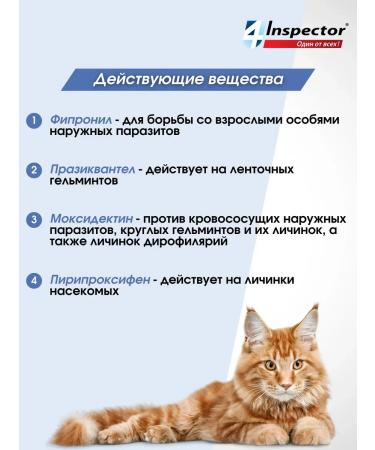 Neoterica Inspector Quadro to a drop for 1-4 kg (3 pipettes) - Buy Online on GoSupps.com