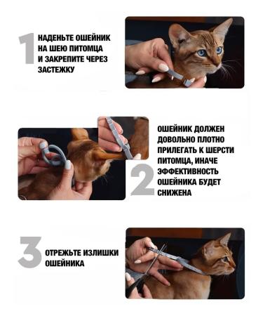 Rolf Club 3D Rolf collar from ticks and fleas for cats 40 cm - Buy Online on GoSupps.com