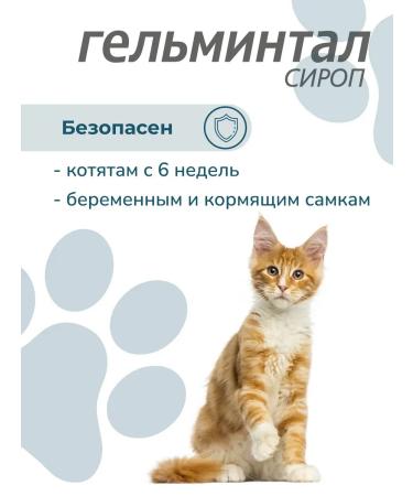 Gelmintal Antigelmine syrup for cats more than 4 kg 5 ml - Buy Online on GoSupps.com