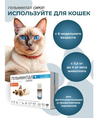 Gelmintal Antigelmine syrup for kittens and cats less than 4 kg 5 ml - Buy Online on GoSupps.com