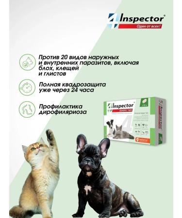 Neoterica Inspector Quadro Tabs for cats and dogs. tablets (4 pcs.) - Buy Online on GoSupps.com