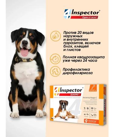 Neoterica Inspector Quadro from dog drops 25-40 kg (3 pipettes) - Buy Online on GoSupps.com