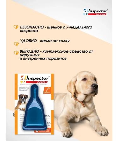 Neoterica Inspector Quadro from dog drops 25-40 kg (3 pipettes) - Buy Online on GoSupps.com