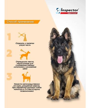 Neoterica Inspector Quadro from dog drops 25-40 kg (3 pipettes) - Buy Online on GoSupps.com