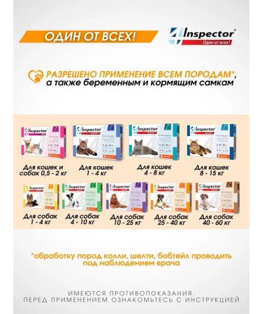 Neoterica Inspector Quadro from dog drops 25-40 kg (3 pipettes) - Buy Online on GoSupps.com