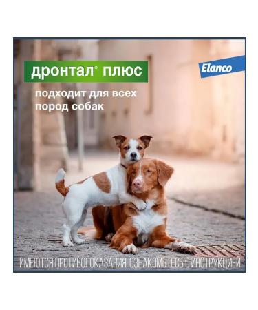 Elanco Drontal tablets for dogs with the taste of meat 50 mg 6t - Buy Online on GoSupps.com