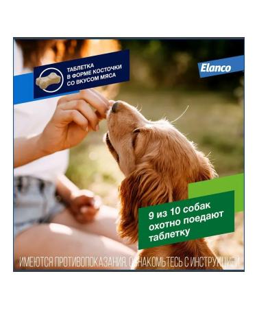 Elanco Drontal tablets for dogs with the taste of meat 50 mg 2t - Buy Online on GoSupps.com