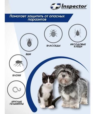 Neoterica Inspector collar from parasites for cats and small dogs 1 pcs - Buy Online on GoSupps.com