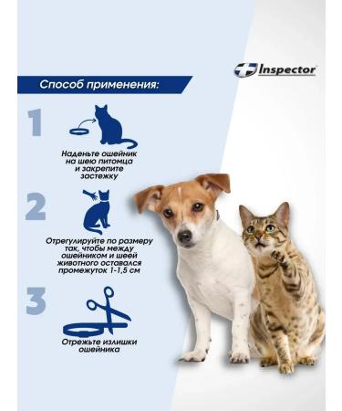 Neoterica Inspector collar from parasites for cats and small dogs 1 pcs - Buy Online on GoSupps.com
